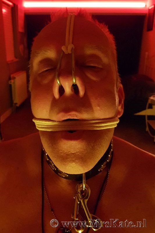 Meesteres Mrs Kate  Den Haag